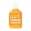 My Bottle Butler HOT SAUCE NASHVILLE HOT GINGER