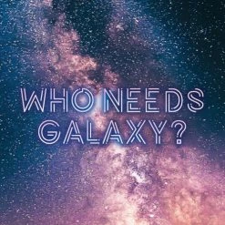 My Bottle Butler Southern Grist Who Needs Galaxy IPA 4 Pack Can