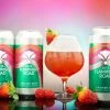 My Bottle Butler Bearded Iris Flamingo Road Sour 4 Pack Can Local & Craft