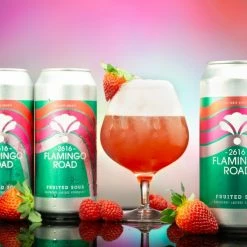 My Bottle Butler Bearded Iris Flamingo Road Sour 4 Pack Can Local & Craft