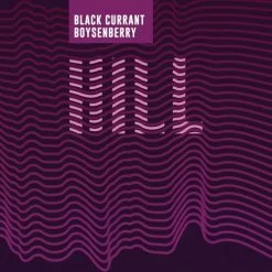 My Bottle Butler Southern Grist Black Current Boysenberry 4 Pack Can