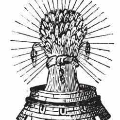 My Bottle Butler Edmund's Oast Hefeweizen 4 Pack Can Local & Craft