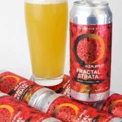 My Bottle Butler Equilibrium Fractal Strata IPA 4 Pack Can